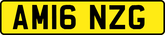 AM16NZG