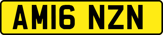 AM16NZN