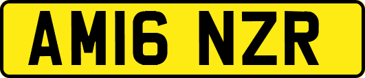 AM16NZR