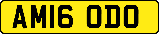 AM16ODO
