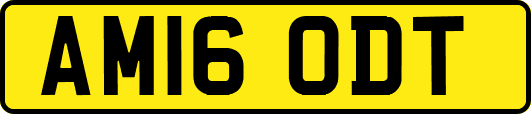 AM16ODT