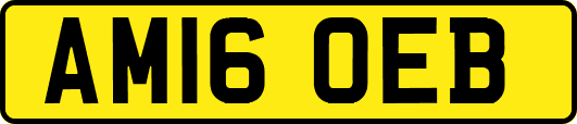 AM16OEB