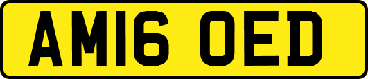 AM16OED