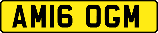 AM16OGM