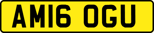 AM16OGU