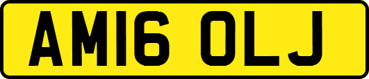 AM16OLJ