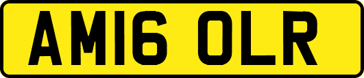 AM16OLR