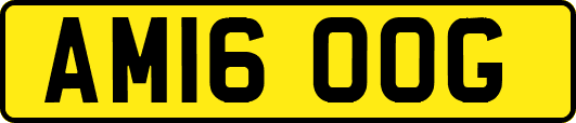 AM16OOG