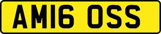 AM16OSS