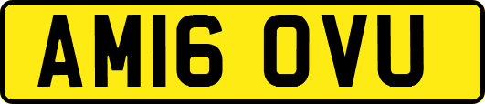 AM16OVU