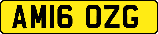 AM16OZG