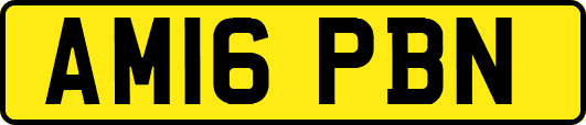 AM16PBN