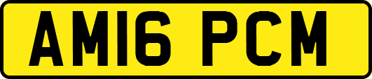 AM16PCM