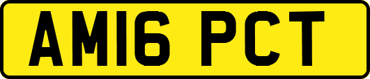 AM16PCT