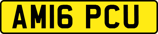 AM16PCU
