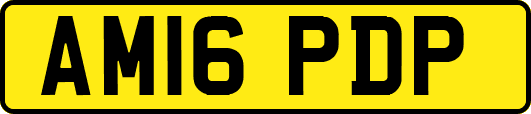 AM16PDP