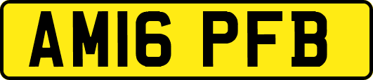 AM16PFB