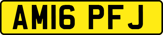 AM16PFJ