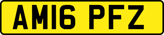 AM16PFZ