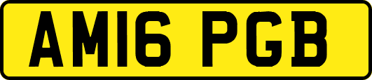 AM16PGB