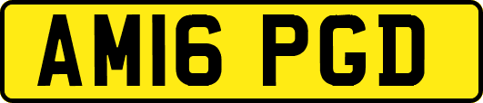 AM16PGD