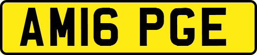 AM16PGE