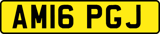 AM16PGJ