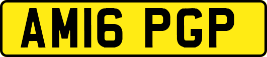 AM16PGP