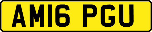AM16PGU