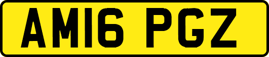 AM16PGZ