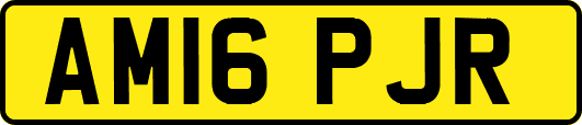 AM16PJR