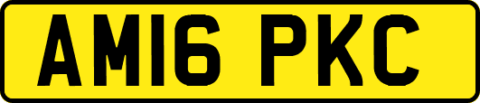 AM16PKC