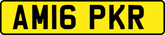 AM16PKR