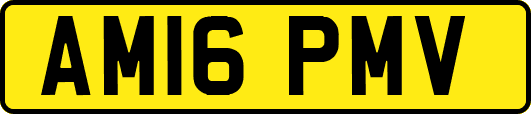 AM16PMV