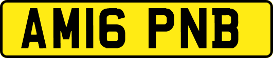 AM16PNB