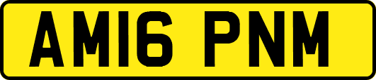 AM16PNM