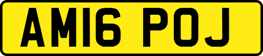 AM16POJ