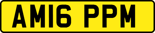 AM16PPM