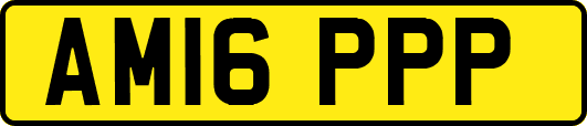 AM16PPP