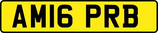 AM16PRB