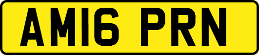 AM16PRN