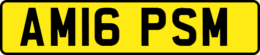 AM16PSM
