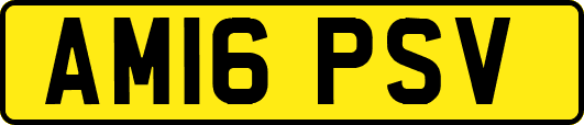 AM16PSV