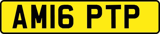 AM16PTP