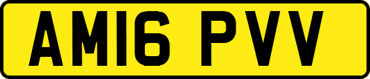 AM16PVV