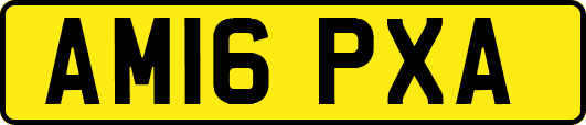 AM16PXA