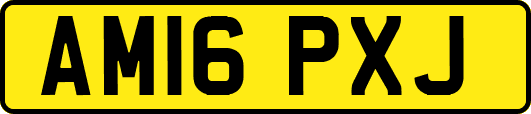 AM16PXJ
