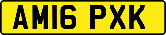 AM16PXK