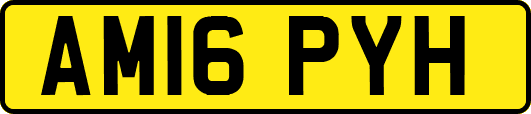 AM16PYH