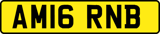 AM16RNB